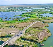 湖北孝感罗平烺复出